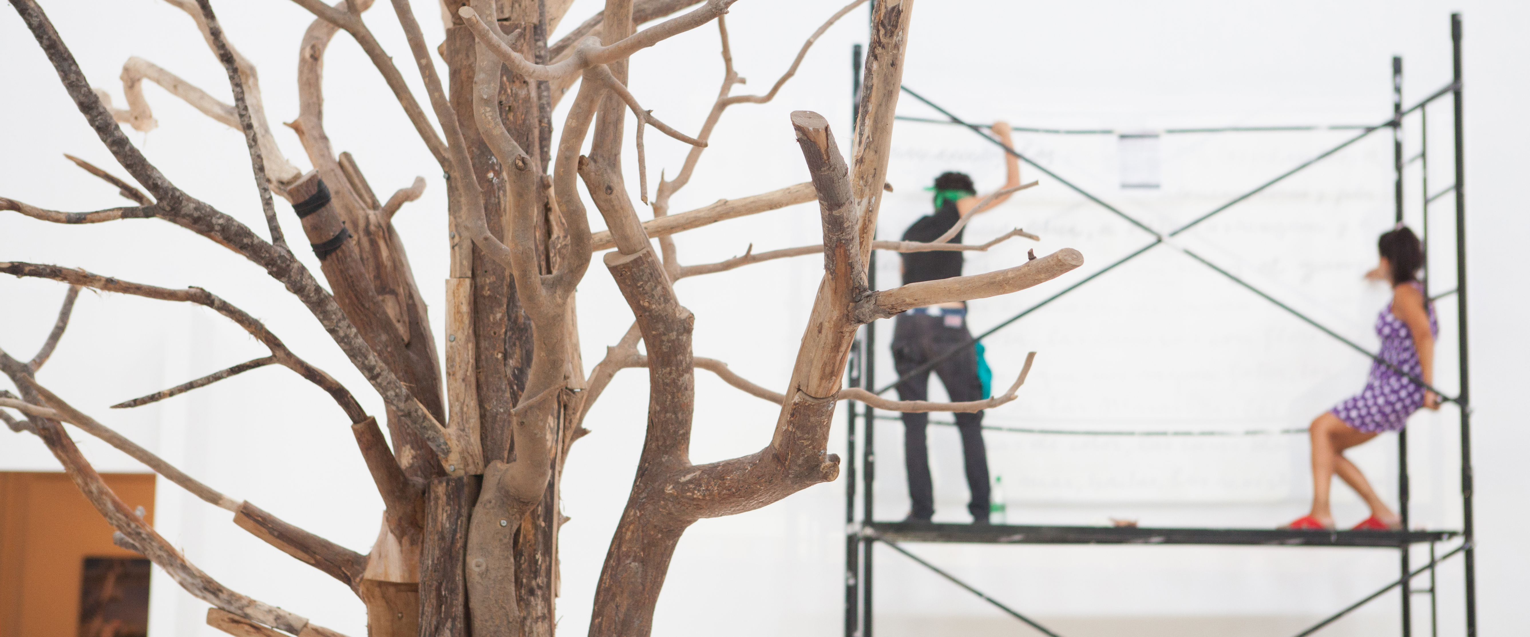 Información de imagen